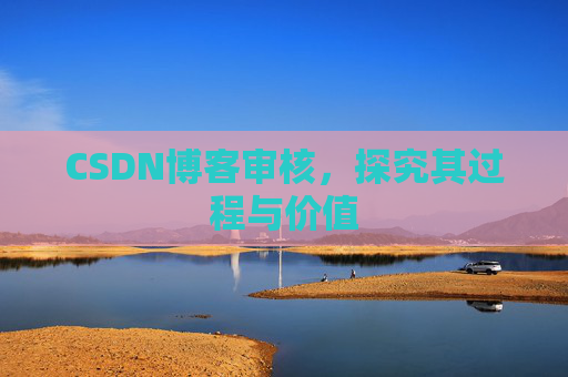 CSDN博客审核,探究其过程与价值